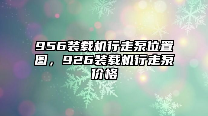 956裝載機行走泵位置圖，926裝載機行走泵價格