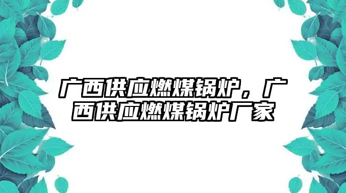 廣西供應燃煤鍋爐，廣西供應燃煤鍋爐廠家