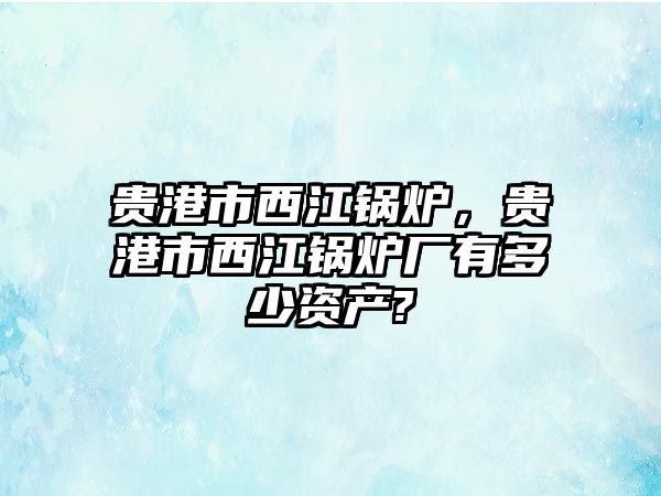 貴港市西江鍋爐，貴港市西江鍋爐廠有多少資產(chǎn)?