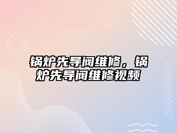 鍋爐先導(dǎo)閥維修，鍋爐先導(dǎo)閥維修視頻