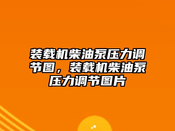 裝載機(jī)柴油泵壓力調(diào)節(jié)圖，裝載機(jī)柴油泵壓力調(diào)節(jié)圖片