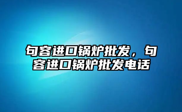 句容進口鍋爐批發(fā)，句容進口鍋爐批發(fā)電話