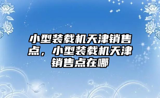 小型裝載機天津銷售點，小型裝載機天津銷售點在哪