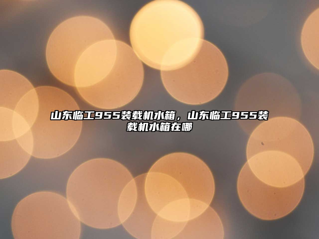 山東臨工955裝載機(jī)水箱，山東臨工955裝載機(jī)水箱在哪