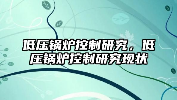 低壓鍋爐控制研究，低壓鍋爐控制研究現(xiàn)狀