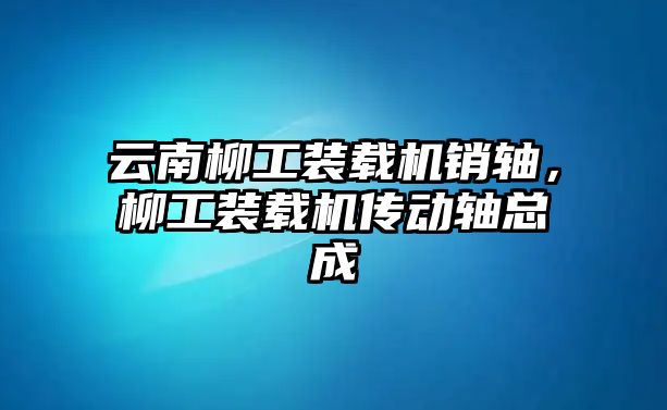 云南柳工裝載機銷軸，柳工裝載機傳動軸總成