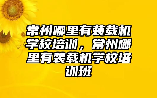 常州哪里有裝載機(jī)學(xué)校培訓(xùn)，常州哪里有裝載機(jī)學(xué)校培訓(xùn)班